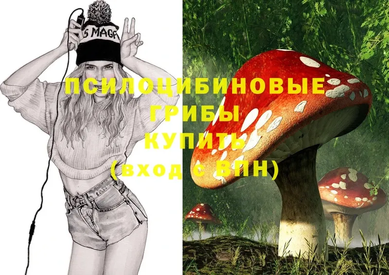 как найти закладки  Межгорье  Псилоцибиновые грибы Cubensis 